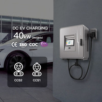 Borne de recharge murale extérieure étanche CCS2 GB/T, charge rapide 40 kW DC pour véhicules électriques, à vendre