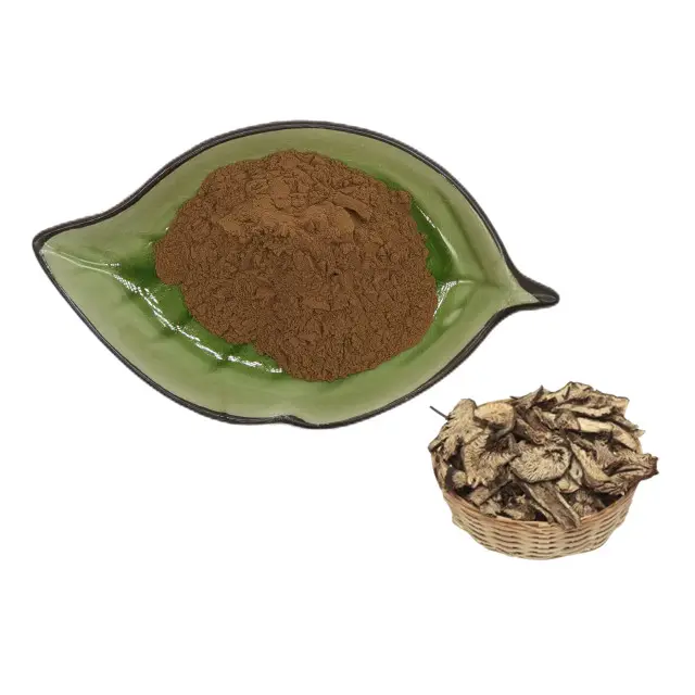 Wholesale 10:1 Black Cohosh Extract Black Cohosh Powder Cimicifuga foetida Extract