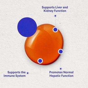 Suplemento de Gotas de Cardo Mariano 100% Natural y Orgánico para Perros, Marca Privada OEM/ODM, para Desintoxicación Hepática y Apoyo Inmunológico - Product Image 5