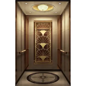 Small Rose Gold Elevator for house Passenger Elevator Good Quality Factory Price