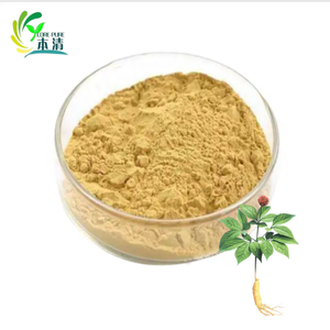 Высококачественный натуральный экстракт женьшеня (<span class=keywords><strong>Panax</strong></span> Ginseng) в порошке, 20% гинзенозидов, в барабанной упаковке, оптом от производителя, хит продаж - Product Image 2