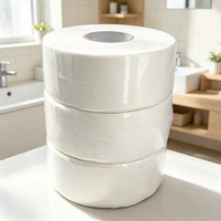 Papier toilette en rouleaux jumbo personnalisés en pâte recyclée, OEM ODM, vente en gros, jetables dans les toilettes
