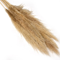 Herbe de la Pampa Naturelle Décorative – Série Très Demandée – Fleurs Séchées en Sac Plastique – Décoration du Nouvel An Chinois et de Pâques