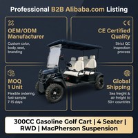 Voiturette de golf 4 places à essence 4 temps 300CC, refroidie par eau, frein à disque avant, frein à tambour arrière, capacité de montée de 25%, pour club de golf
