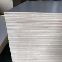 Contrachapado Laminado con Núcleo de Madera Dura, Grado E0, Bajo en Formaldehído, Resistente al Fuego, Económico, Impermeable, Melamina para Muebles