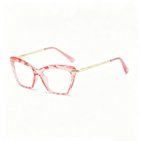 Lunettes anti-lumière bleue rétro SM2500, monture PC unisexe avec accents métalliques dorés