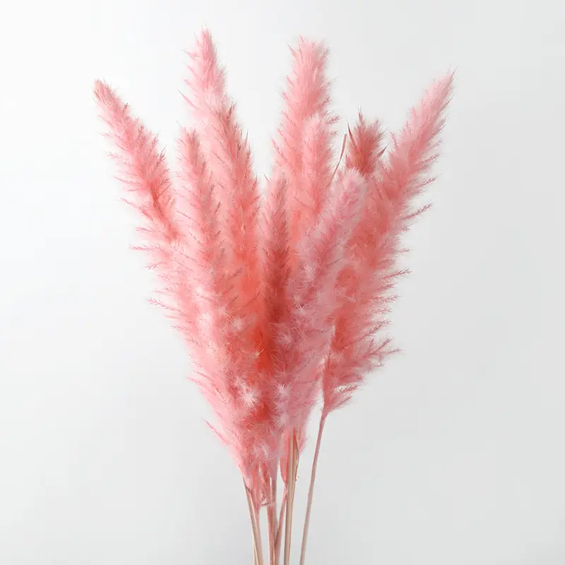 Hot Sale Christmas Vintage Luxury Space Office Home Natural Decoration Dried Flower Small Pink Pampas Grass for Wedding decor