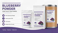 Bubuk Blueberry Alami Murni Vaccinium Myrtillus L. Anthocyanin 25% Bubuk Buah Kering Semprot Kelas Makanan & Kosmetik 1kg/5kg Kemasan