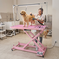 Table de toilettage pour animaux de compagnie électrique rose professionnelle avec prises de courant, table de toilettage pour chiens robuste