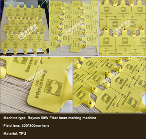 เครื่องแกะสลักและสลักชื่อโลหะเครื่องแกะสลักเลเซอร์ไฟเบอร์20W ขนาดเล็กตั้งโต๊ะ - Product Image 5