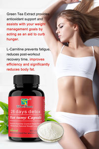 แคปซูลเผาผลาญไขมันหน้าท้องแบบแบนราบ28วันอาหารเสริมลดความอ้วนสมุนไพรธรรมชาติที่ดีที่สุด - Product Image 4