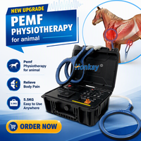 Machine PEMF multifonctionnelle haute intensité OEM ODM pour chiens et chevaux, soins de récupération, soins articulaires, machine à boucle PEMF pour centre équestre