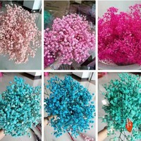 Bouquet de gypsophile de fleurs éternelles, vente en gros, fleurs séchées pour la décoration, cadeau de Noël, de Pâques, de la Saint-Valentin, scène