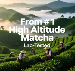 Cápsulas de Té <span class=keywords><strong>Matcha</strong></span> Orgánico Ceremonial Puro Longjing de Grado 6A, 2g, Marca Privada OEM/ODM, Té Saludable en Polvo Suelto en Caja - Product Image 4