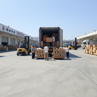 Logística Internacional, Transporte Marítimo y Aéreo, Agente de Envío DDP, Transitario, Envío de China a Todo el Mundo, Servicio de Almacén de Dropshipping