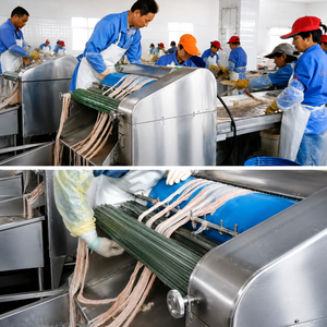 Machine de nettoyage et de décorticage naturel des boyaux animaux, équipement pour la production de saucisses à partir de boyaux de porc, mouton, vache, agneau - Product Image 2