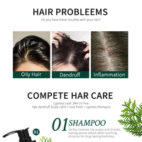 Sampo Anti Rambut Rontok Minyak Rosemary Herbal Alami Minyak Tea Tree Pengontrol Minyak Penguat Rambut untuk Pria dan Wanita 400ml OEM