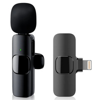 Convient pour Iphone, enregistrement vidéo, interviews Facebook, K9, etc. Double microphone miniature avec suppression du bruit