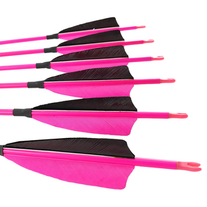 Flechas de Carbono Pinals de 4.2mm, 300-1200 Spine, para Adultos y Niños, Arco, Tiro con Arco, Caza, Práctica, Colores en el Eje - Product Image 5