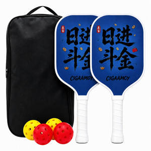 Kit de pickleball de voyage compact et portable en fibre de verre pour les vacances à la plage, prêt à l'emploi, avec raquettes et balles, kit professionnel - Product Image 5