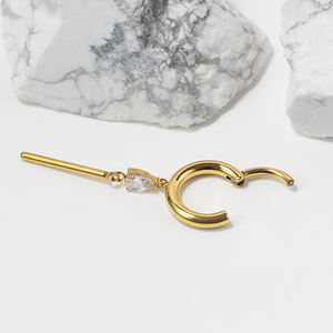 Модные серьги-кольца из титана ASTM F136 с подвесками и шарнирным сегментом для пирсинга ушей, женские украшения для пирсинга - Product Image 6