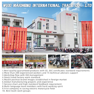 2023 Moto électrique de vélo de saleté haute performance 45 km/h Moto électrique avec pédales - Product Image 6