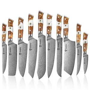 Damascus <strong>Kitchen</strong> <strong>Knife</strong> <strong>Set</strong> 10 Piece Damascus Steel VG10 <strong>Kitchen</strong> <strong>Knife</strong> <strong>Set</strong> With Wood Handle - Product Image 1