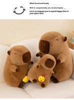 Peluche Kapybara cochon mignon, réversible en poulet, avec technique de lavage, pour anniversaires