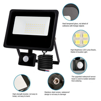 Projecteur Led automatique sensible de 50W à la lumière du jour, étanche IP65, capteur PIR, lumières de sécurité, projecteur Led, capteur de mouvement