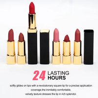Rouge à lèvres mat vegan sans cruauté, imperméable, de marque privée, tube à poussoir de luxe, 14 teintes, rouge à lèvres solide, formule minérale
