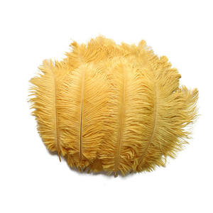 Plume d'autruche blanche 25-30 cm (10-12 pouces) DIY Plume moelleuse colorée petite décoration artisanale pour vente bon marché - Product Image 3