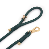 Produit populaire sur TikTok pour animaux de compagnie, laisse en polyester pour gros chiens, laisse de haute qualité avec boucle dorée, laisse de chien tendance, laisses pour animaux de compagnie