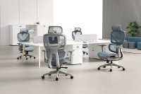 Chaise de bureau ergonomique en maille avec soutien lombaire, chaise de bureau pivotante réglable, chaise d'ordinateur ergonomique
