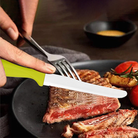 Ensemble de 6 couteaux à steak dentelés pour le camping et le barbecue, lame en acier inoxydable, manche en PP, kit portable en boîte colorée