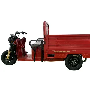 Trustworthy Supplier Electric Cargo Three Wheel Electric Tricycle Bike With Passenger Seat