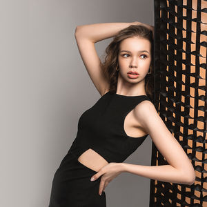 Alcance del proyecto: 22x90cm 30x120cm 35x160cm Rectangular Octagonal Honeycomb Grid Soft Box para Bowens Studio <span class=keywords><strong>Flash</strong></span> Light Box - Product Image 6