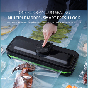 Vakum mühür çanta ile profesyonel ev mutfak gıda vakumlama makinesi makinesi - Product Image 2