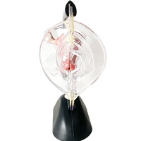 Modèle du système reproducteur féminin, modèle d'utérus transparent, modèle anatomique féminin