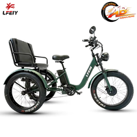 Tricycle à trois roues à pneus larges pour la neige, certifié EEC, moteur central 750W, trike passager et cargo, batterie au lithium, adultes, 200 kg
