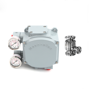 ตัวควบคุมดิจิตอลมาโซนีแลน SVI 1000 แบบ 4-20 มิลลิแอมป์ พร้อมเซี่ยงไฮ้ เตี้ยนเจี้ยน SVI 1000 4-20 มิลลิแอมป์ ดิจิตอล SVI 1000 - Product Image 4