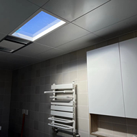 Puits de lumière artificiel tendance avec angle de soleil optimal à 45 °, simulation de ciel bleu clair pour un éclairage de rythme circadien centré sur l'humain