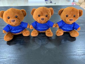Бесплатный образец, плюшевый медведь, животное, брелок, игрушка/мини мишка тедди с принтом футболки, логотип на заказ, рекламный медведь, брелок, игрушка - Product Image 5