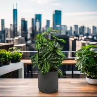 Plantes artificielles en pot en plastique OEM pour comptoir, Monstera en pot de céramique, décoration moderne pour jardin et maison, vert, très vendues en Europe