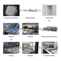 Mesin Thermoforming Plastik Otomatis Kecepatan Tinggi untuk Wadah Makanan Biodegradable Kecil Bahan PP/PS/PVC Bertenaga Motor