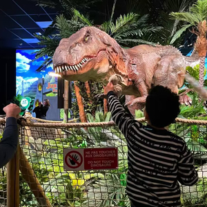 Ngoài trời không thấm nước Tyrannosaurus Lịch Sử Jurassic khổng lồ Robot sống Kích thước cuộc sống di chuyển khủng long cho triển lãm - Product Image 1