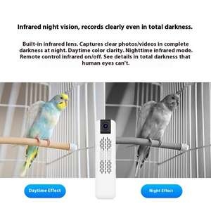 Caméra dôme sans fil d'observation des oiseaux à usage domestique Vision nocturne Observation des oiseaux Carte SD Connectivité WIFI Petite batterie - Product Image 5