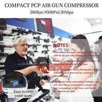 PCP 4500psi 300bar 30mpa PCP compresseur d'air PCP haute pression portable 110v12v 4500psi 350bar submersible