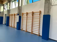 Bar Dinding Kayu Senam, Bar Dinding Kayu Ganda, Peralatan Senam untuk Dijual, Tangga Anak
