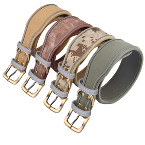 Correa de perro antiexplosión moderna de lujo, <span class=keywords><strong>Collar</strong></span> de mascota con diamantes de imitación brillantes, cuero de tracción, accesorio de nailon personalizado, collares para perros - Product Image 3