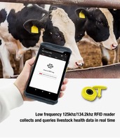 Robuste 5.5 pouces Android 13 PDA avec NFC 13.56MHz Animal Cattle RFID Tag Reader Collecteur de données 64GB ROM pour la collecte de données